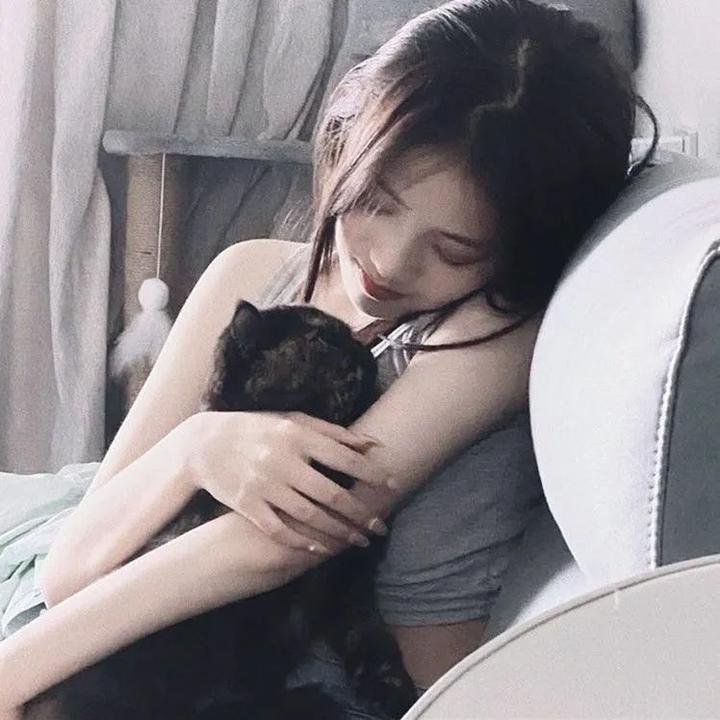 笨贼龙虎榜